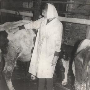 1985 год. Была открыта ферма «Школьник». Учащиеся выращивали молодняк крупнорогатого скота.
